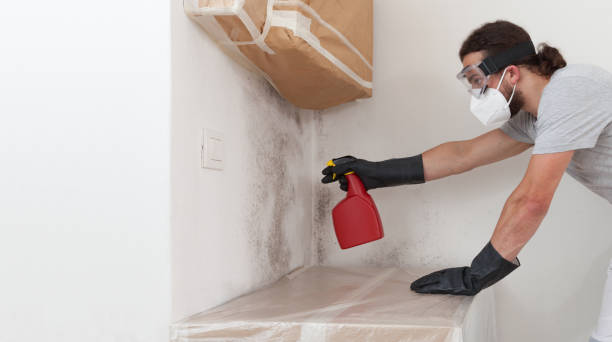 Professional Mold Remediation technician working in Crystal Lawns, IL
