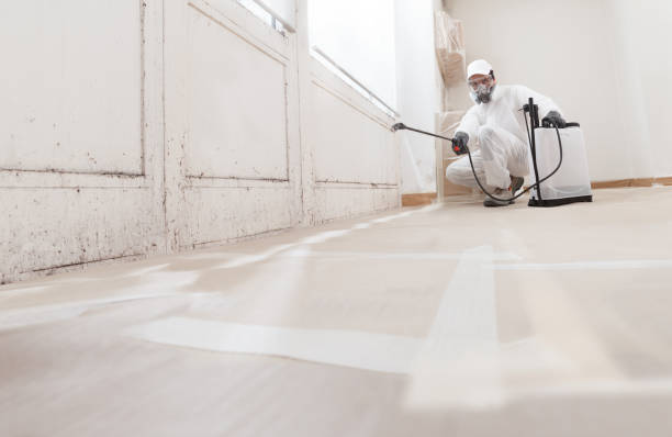 24/7 Emergency Mold Remediation experts in Crystal Lawns, IL