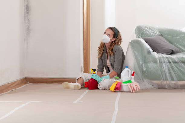 Reliable Mold Remediation contractor in Crystal Lawns, IL by 24 Hour Mold Removal